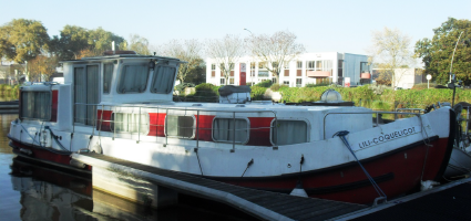 Penichette 1107 W - Lily Coquelicot